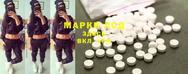 крисы Елабуга