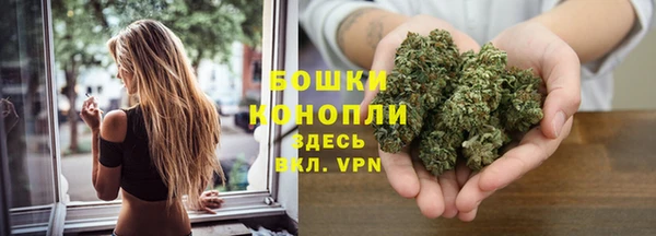 крисы Елабуга
