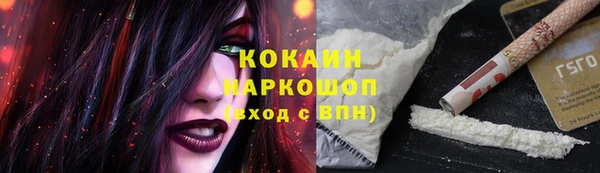 крисы Елабуга