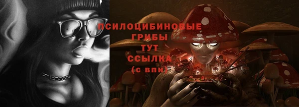 крисы Елабуга