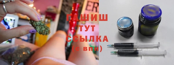 крисы Елабуга