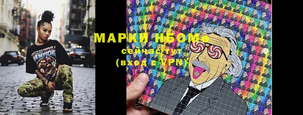 крисы Елабуга