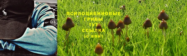 кокаин колумбия Елизово