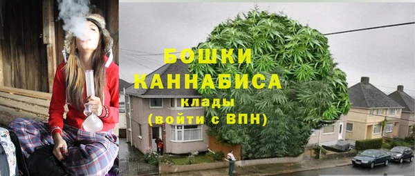 крисы Елабуга