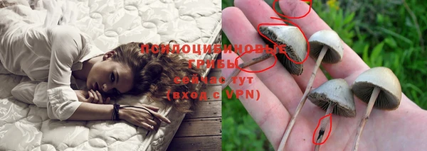 крисы Елабуга